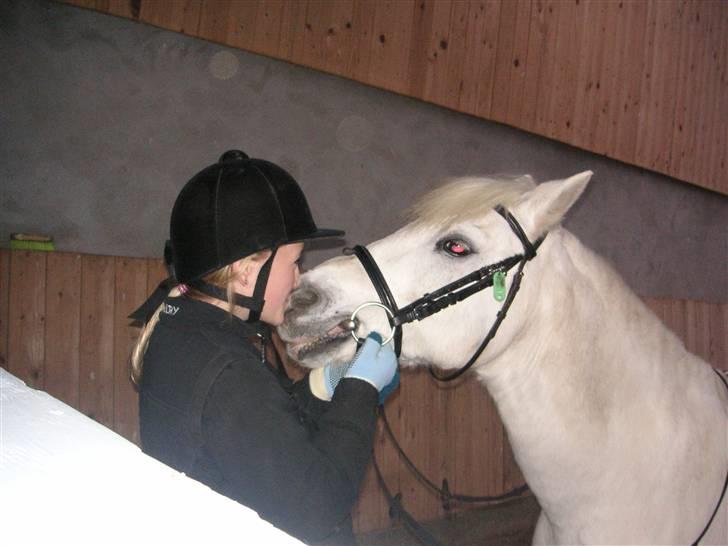 Anden særlig race Funny  <3  - Kyys :-* <3  billede 14