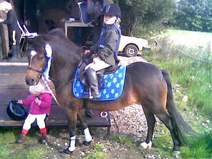 Dartmoor Amalie Ronda Chili solgt - Melanie fik en 2 pl. i LE spring billede 9