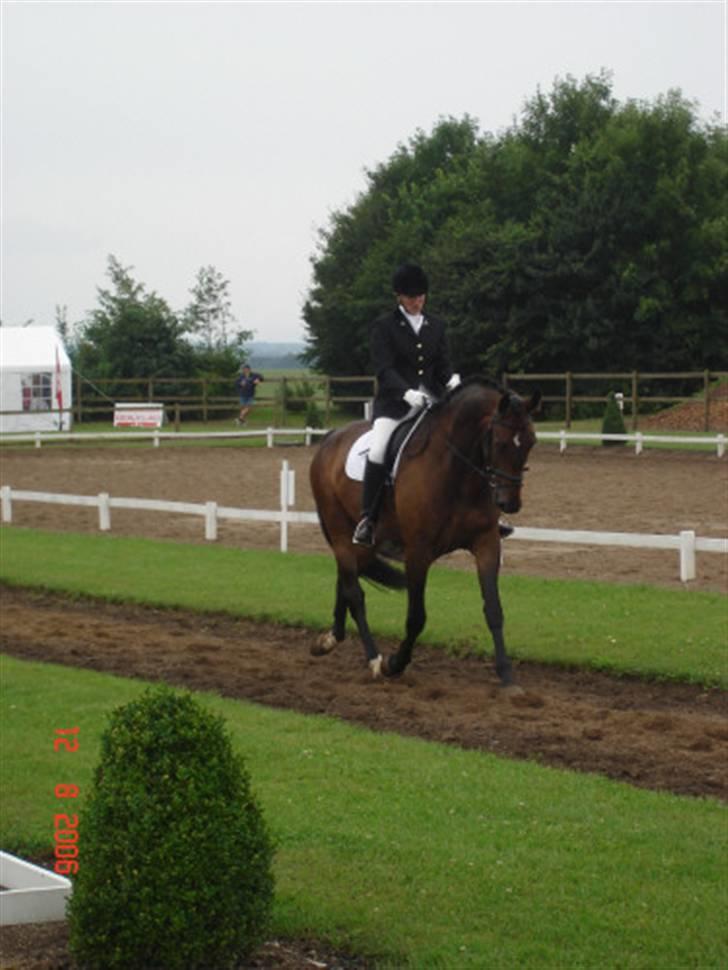 Dansk Varmblod Lillemand(Leander Divine) - Lillemand og jeg til vores første distrikt stævne Tørring ´06 billede 2