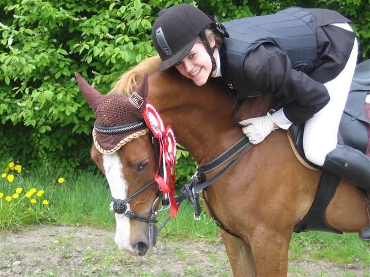 Welsh Pony af Cob-type (sec C) Leurhoeve's Justin  - 8# stævne på svankjær efterskole<3 billede 8