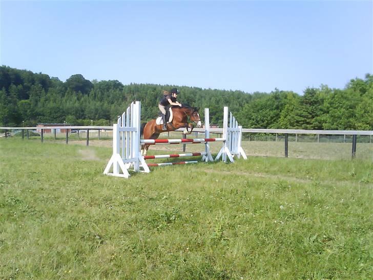 New Forest 4-socks <3 - # 3 springer lige en lille bane. foto: Christina<3 billede 3