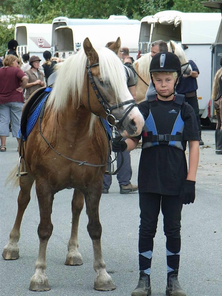 Tyroler Haflinger Fie  - Fie og mig på 3 dags tur med rideskolen billede 5