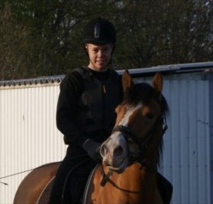 Anden særlig race Melody billede 3