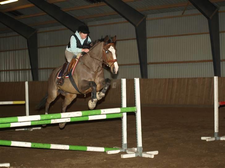 Anden særlig race Tintin<3 - Træning .  billede 4