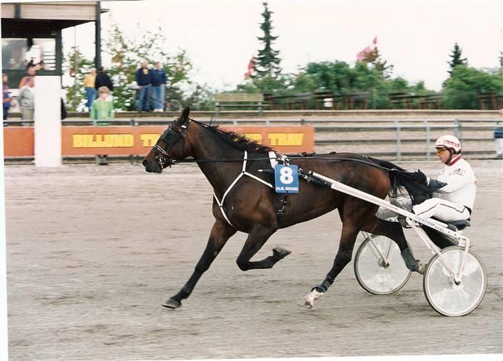 Traver Charlie Boom Boom ( hesten man kan gøre alt ved) - ja man kan også løbe hurtig når man hedder charlie . Kusk Kim (Artur)  Kristensen billede 13