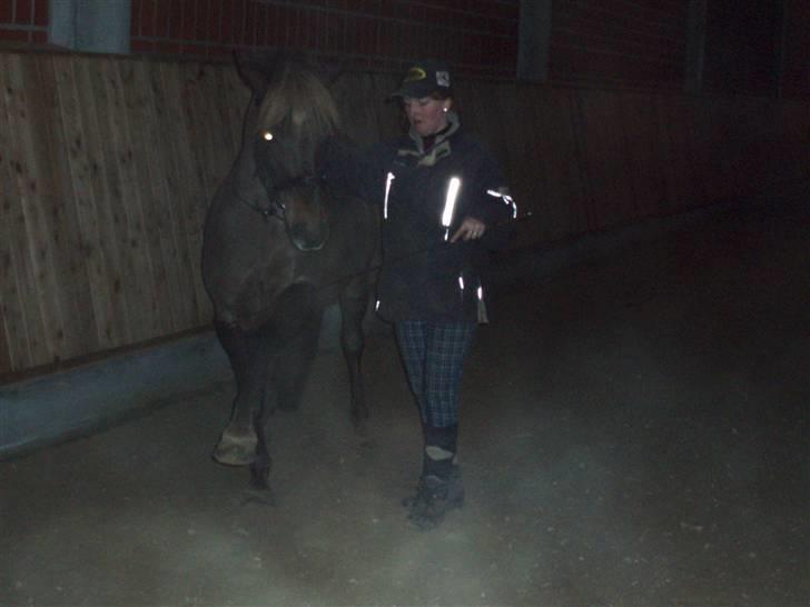 DSP Jolene billede 6