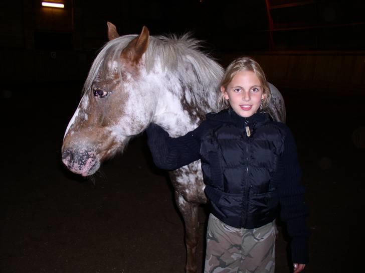 Appaloosa Harry-Potter Gammel hest - 7 billede 7