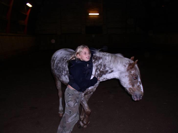 Appaloosa Harry-Potter Gammel hest - 10 billede 10