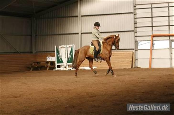 DSP Tanja  billede 2