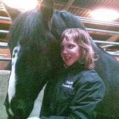 Anden særlig race Gambler