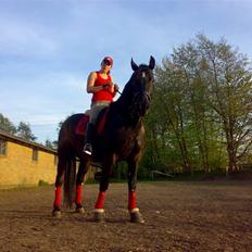 Oldenborg Castor SOLGT:'( Min Tulle