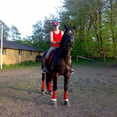 Oldenborg Castor SOLGT:'( Min Tulle