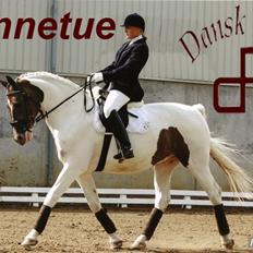 Pinto Winnetue R.I.P