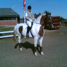 Pinto Winnetue R.I.P