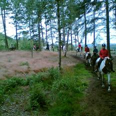 Pinto Winnetue R.I.P