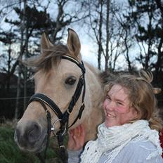Anden særlig race Yellow lady * Aflivet *