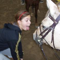 Anden særlig race Yellow lady * Aflivet *