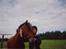 New Forest Twist - han skulle lige have en krammer inden jeg skulle hjem.. <333 