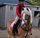 Haflinger               Alena