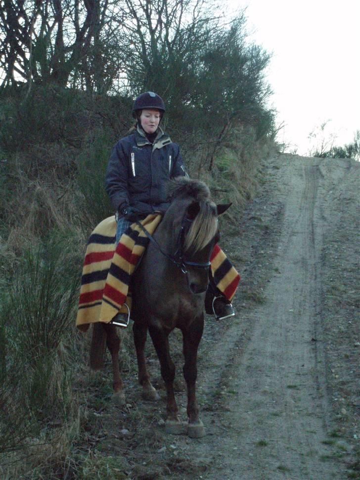 DSP Jolene billede 8