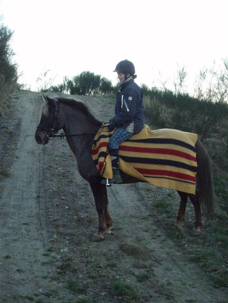 DSP Jolene billede 9