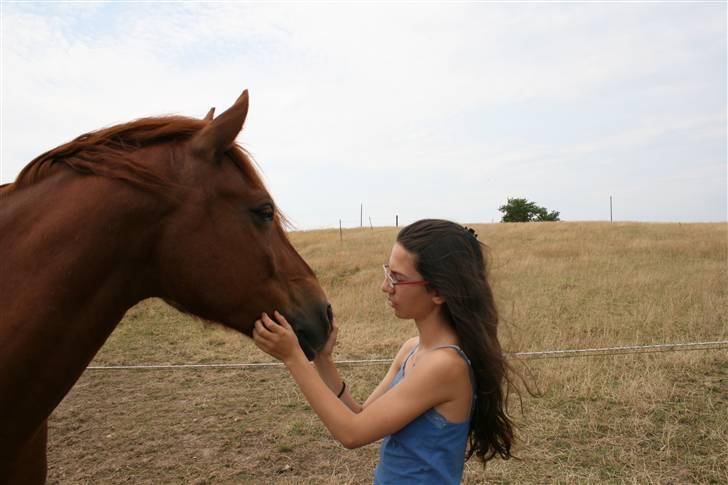 Pinto Polle - min bedste ven <3 billede 11