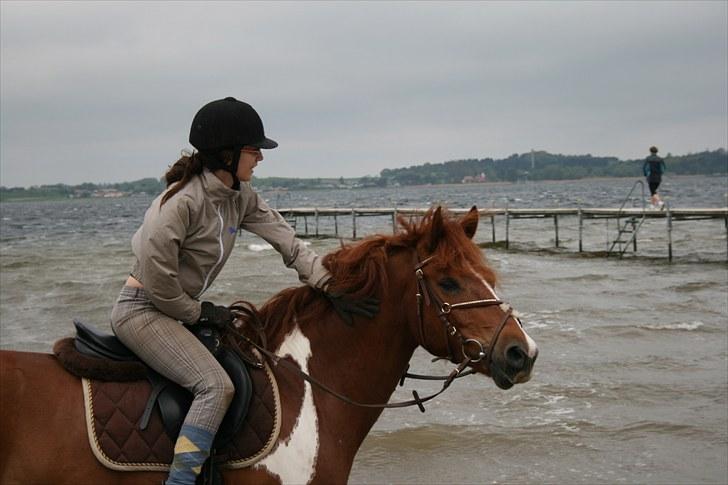 Pinto Polle - Polle-drengen der er ude og bade ;)<3 billede 12