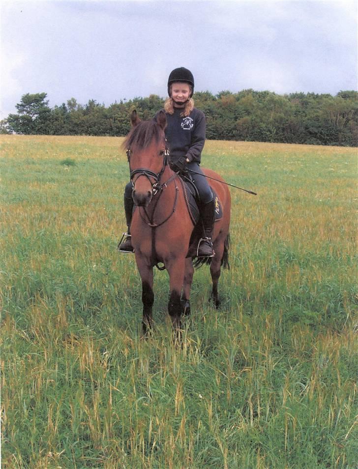 New Forest Twist - Da jeg var på sommerferie med ham der hvor jeg havde købt ham.. :) det var rigtig hygge! billede 1