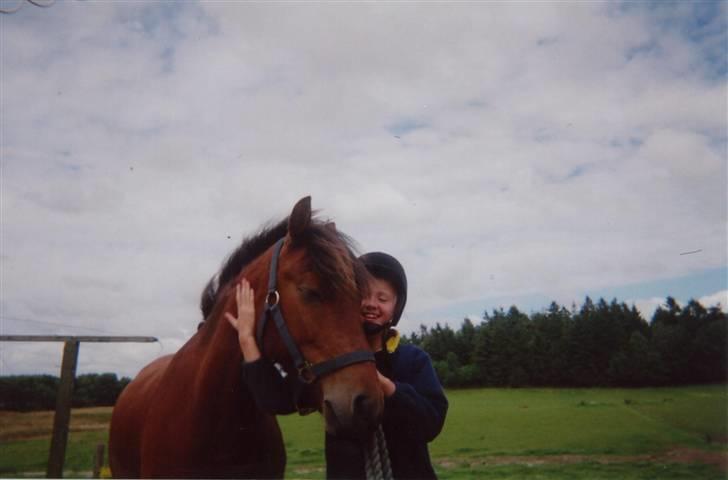 New Forest Twist - han skulle lige have en krammer inden jeg skulle hjem.. <333  billede 4