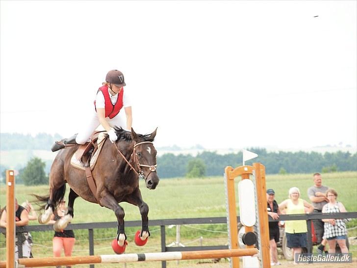 Trakehner Knobelsdorff - stævne 4 juli 2010 billede 9