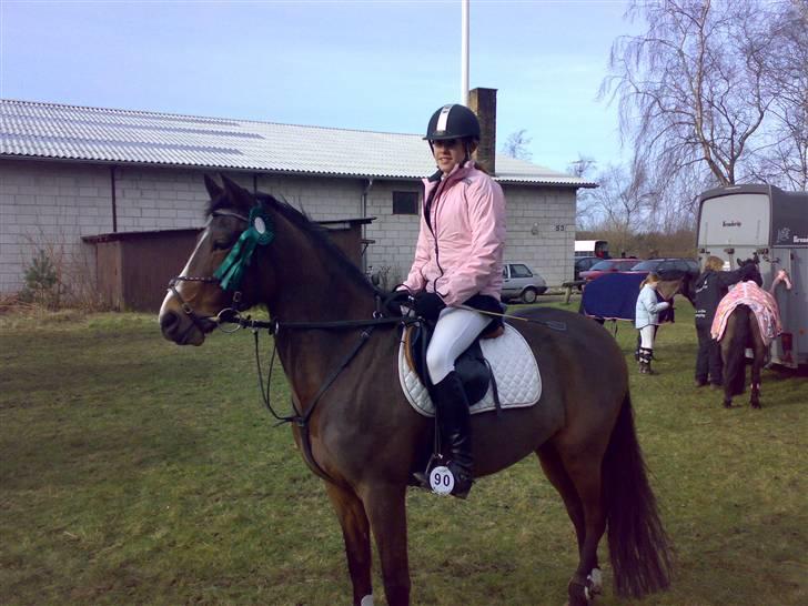 Tysk Sportspony Pamina 375 (Flyve-egern) - I brande , fik to 5 pladser<33 billede 9