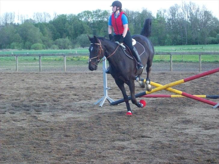 Trakehner Knobelsdorff - undervisning 18 maj 2010 billede 14