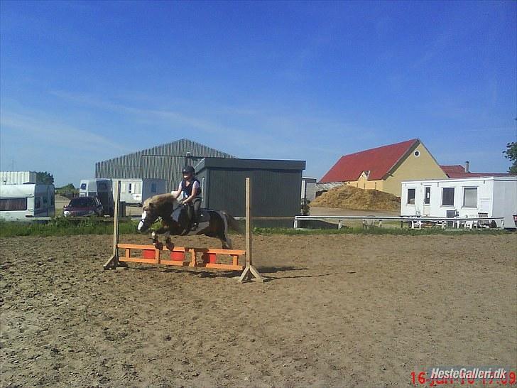 Anden særlig race Dolly - Marie&Dolly(: billede 15