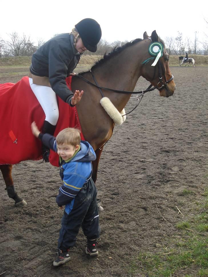 Hollandsk Sportspony Sjanoe - Solgt - R.I.P. :( - min lillebror og jeg giver 5 efter en flot 0 rundte i LB billede 5