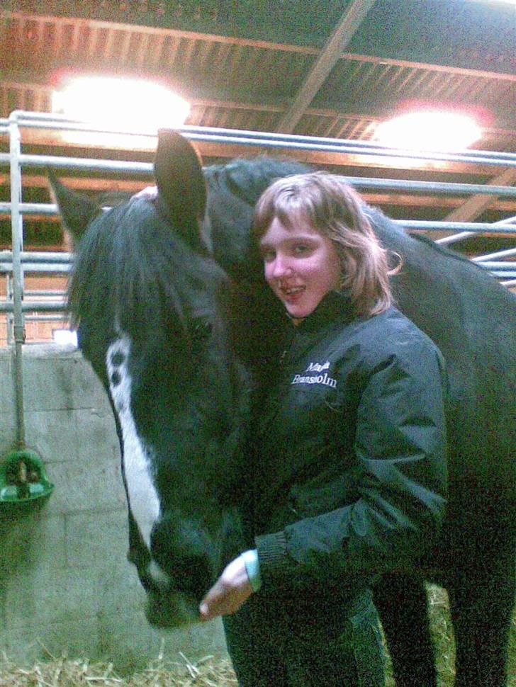 Anden særlig race Gambler - 2# Hygge hygge han troede jeg havde mad.. billede 2