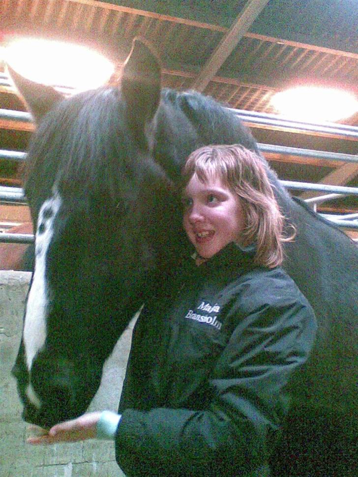 Anden særlig race Gambler - 3# Du er så dejlig tykke bamse skat.. billede 3