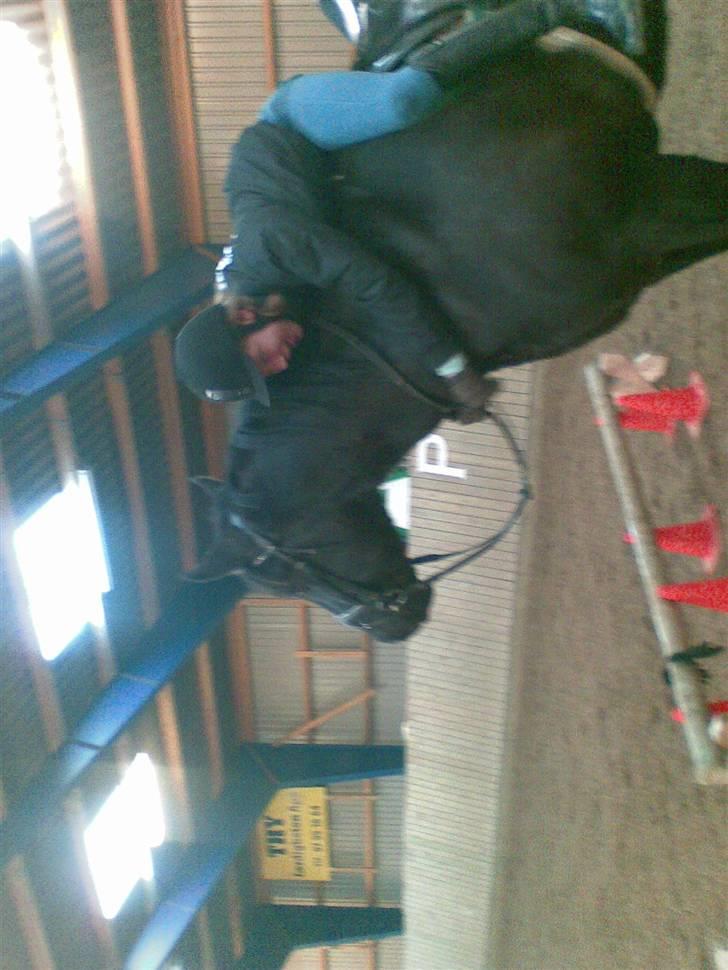 Anden særlig race Gambler - 4# Kraam til dig skatt<33 billede 4