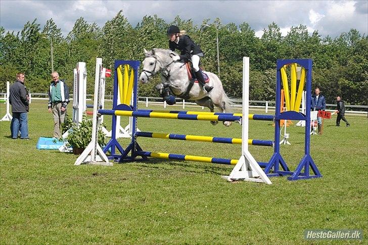 Welsh Pony (sec B) Diablo B-pony /spring  Solgt - stævne i bording mig og diablos første MB billede 8