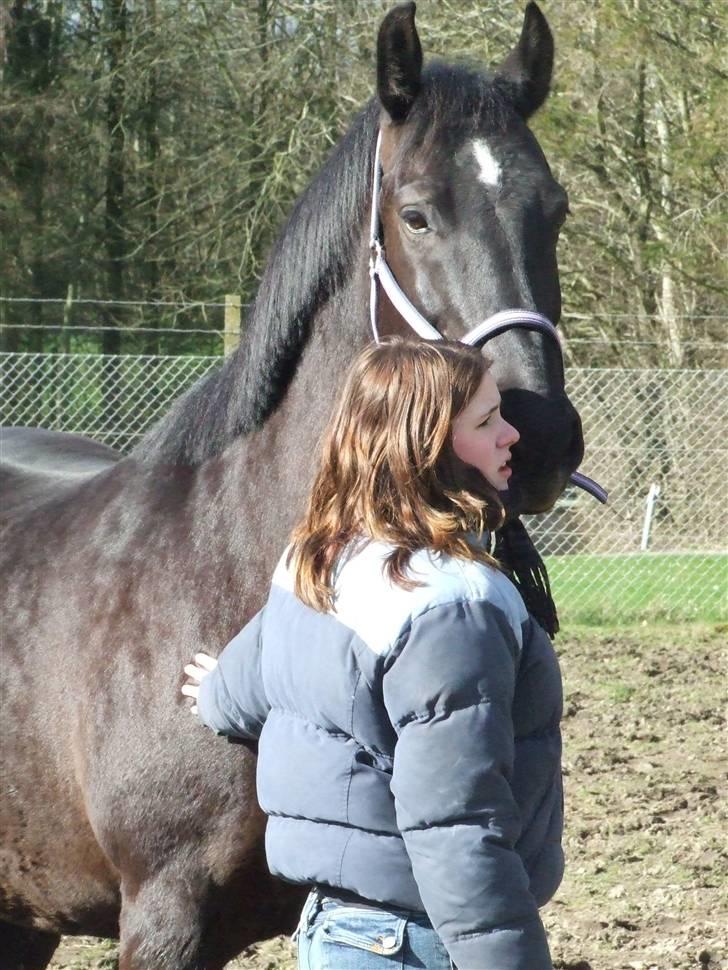Oldenborg Castor SOLGT:'( Min Tulle - <33 billede 6