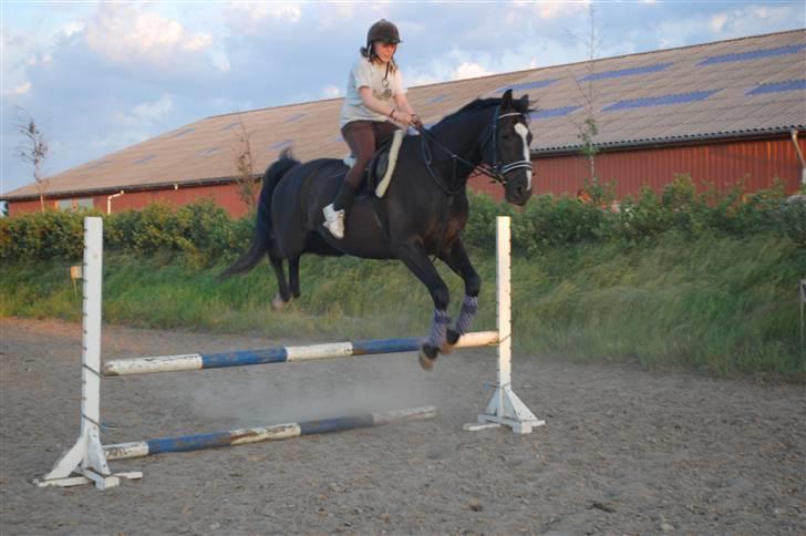 Anden særlig race Black C. Tyson - Solgt<3 - Stald lambert <3 Mig og tysse i elevator spring haha- Fotograf: Bjarne billede 1