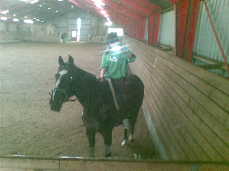 Anden særlig race Black C. Tyson - Solgt<3 - Stald lambert <3 lige ude og hyppe lidt - Fotograf: Mig Selv billede 8