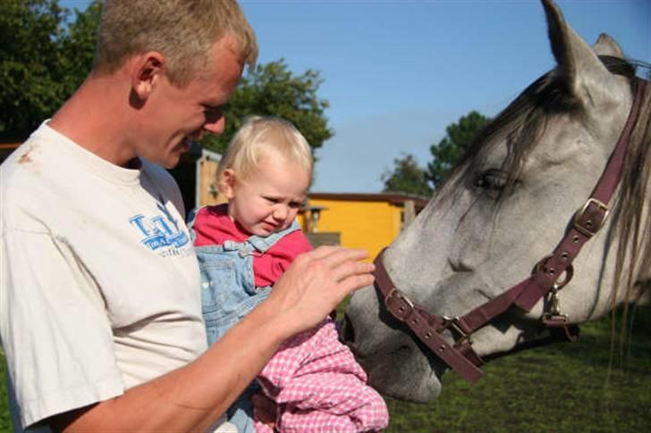 Cruzado Tara - Hej Maja! Har du æbler med?? billede 3