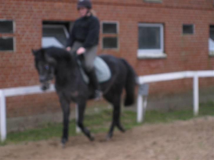 DSP Ally Divine billede 10