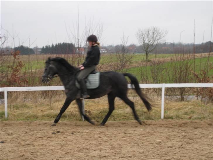 DSP Ally Divine billede 12