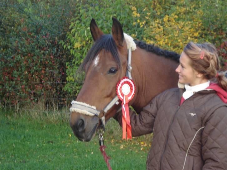 DSP Bæklunds Lorenzo solgt - lorenzo og mig (;<3 med første pladsen :D billede 10