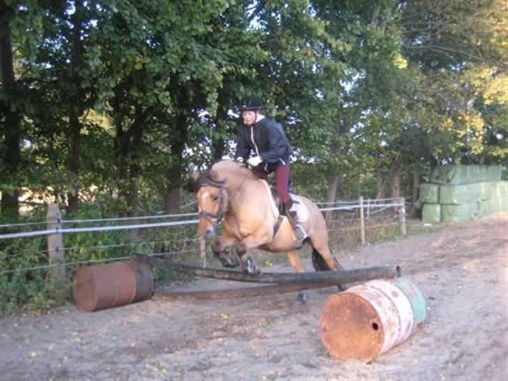 Anden særlig race Tarzan  - tarzan og jeg  billede 17