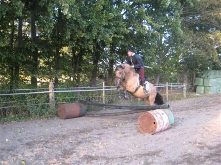 Anden særlig race Tarzan  - tarzan og jeg  billede 18