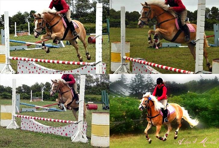 Haflinger               Alena - Yes, it was even an unforgettable day with you: D billede 3