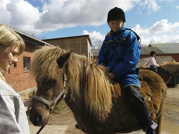 Islænder Sina - første gang jeg havde Trine på ryggen, det sagde jeg jo ingenting til, hvorfor skulle jeg da også det :S billede 15