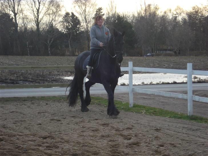 Frieser Dora K billede 7